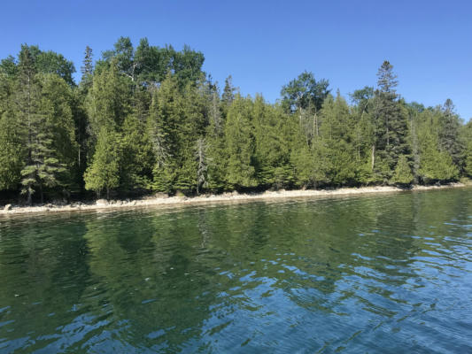 TBD S CORYELL ISLAND, CEDARVILLE, MI 49719 - Image 1