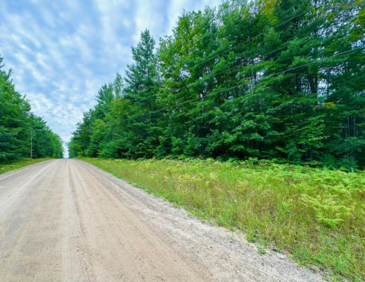 LOT 32/33 TIMBER LINE DR, WOLVERINE, MI 49799 - Image 1